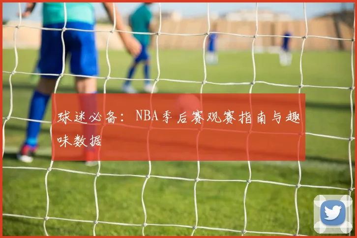 球迷必备：NBA季后赛观赛指南与趣味数据