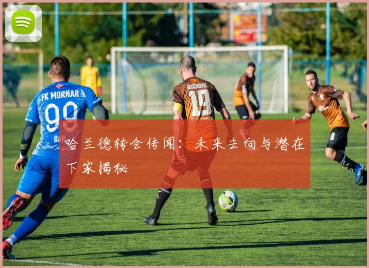 哈兰德转会传闻：未来去向与潜在下家揭秘