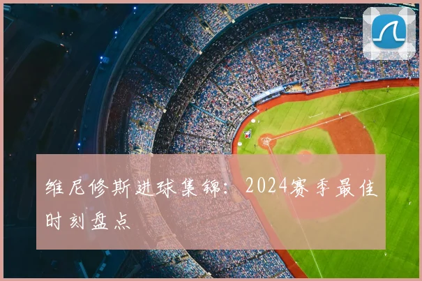 维尼修斯进球集锦:2024赛季最佳时刻盘点