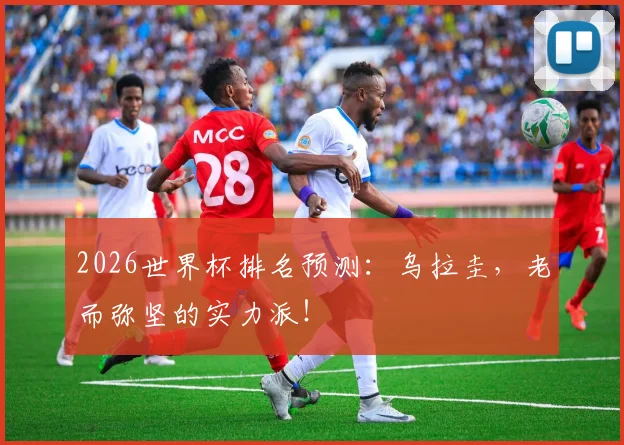 2026世界杯排名预测:乌拉圭,老而弥坚的实力派!