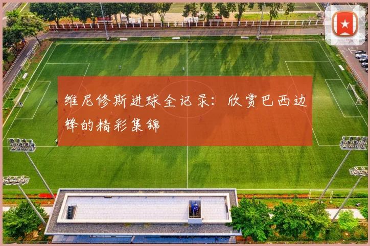维尼修斯进球全记录：欣赏巴西边锋的精彩集锦